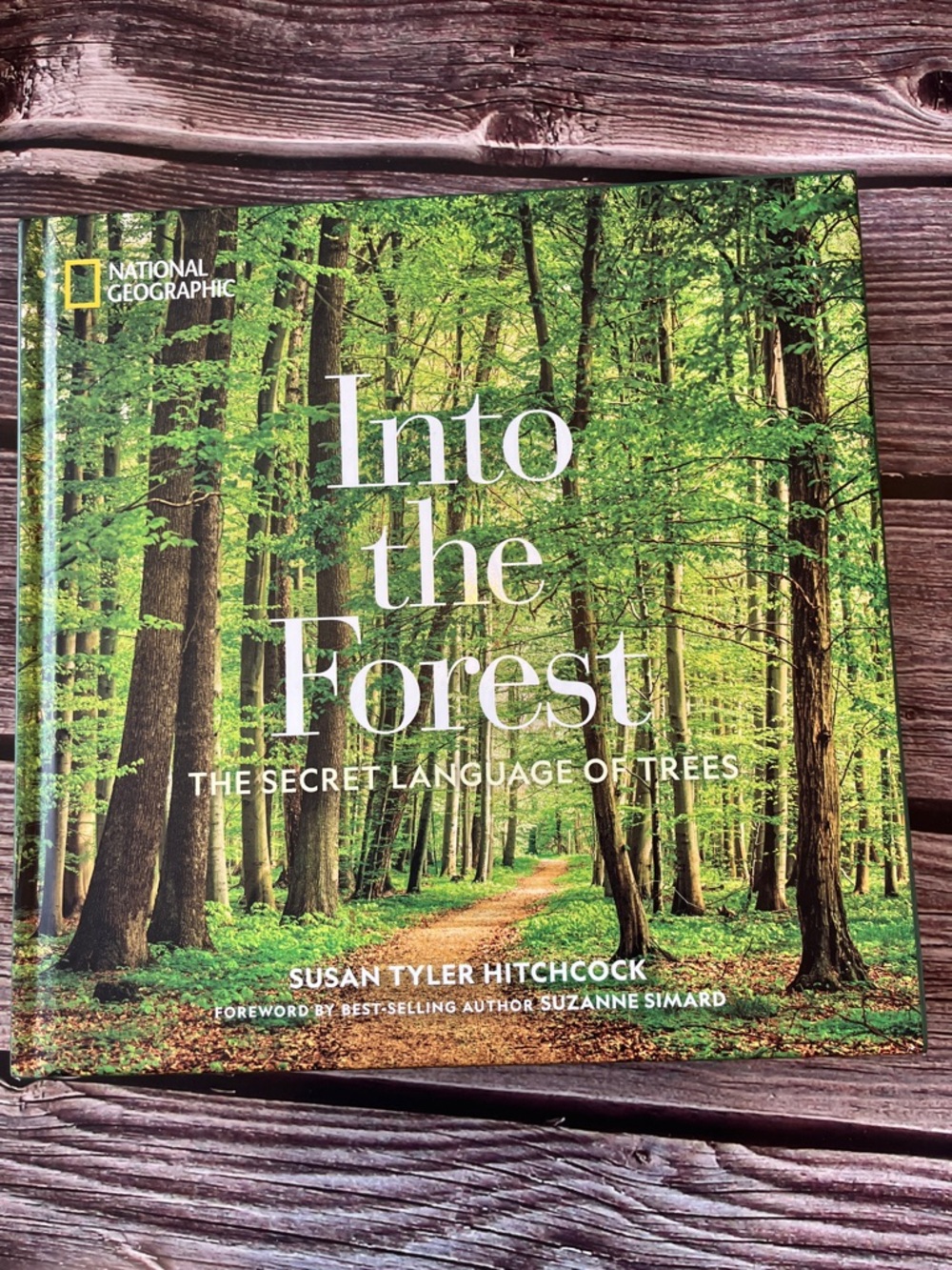 National Geographic Into the Forest: The Secret Language of Trees